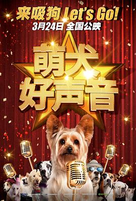 avhd101高清在线