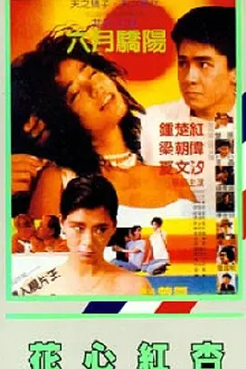 91视频合集