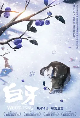 日韩精品区