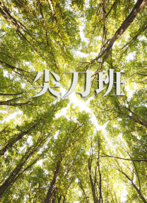 国产二区在线播放